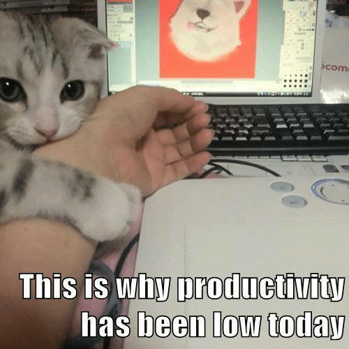 Why productivity has been low today